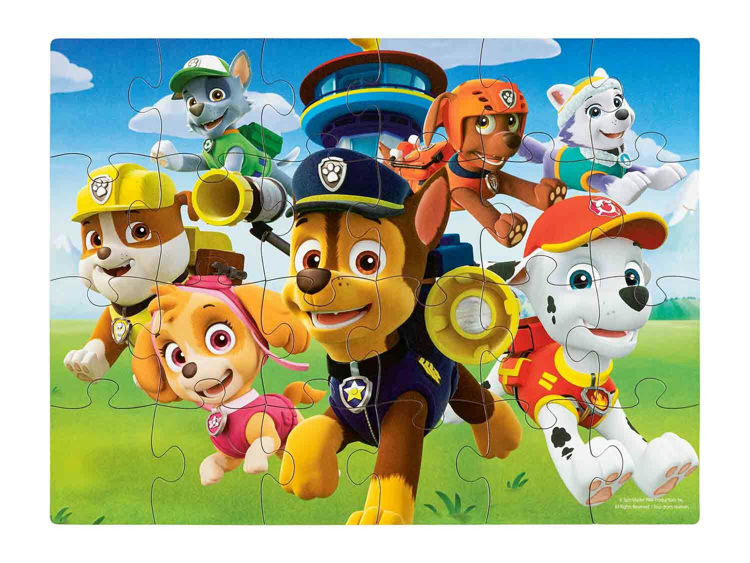 Spinmaster Puzzle