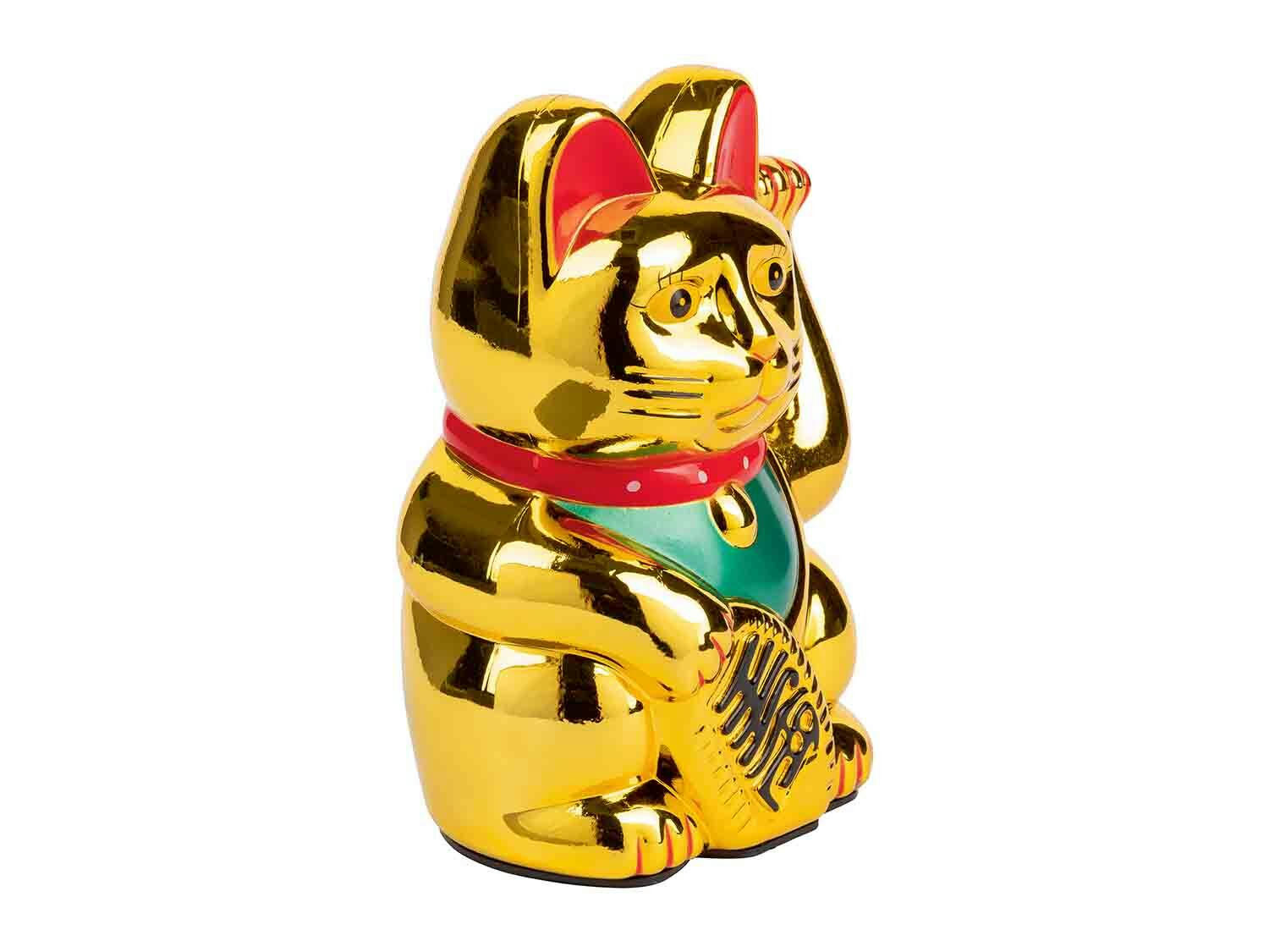 Gato chino