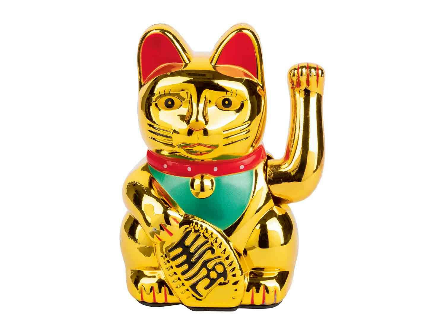 Gato chino