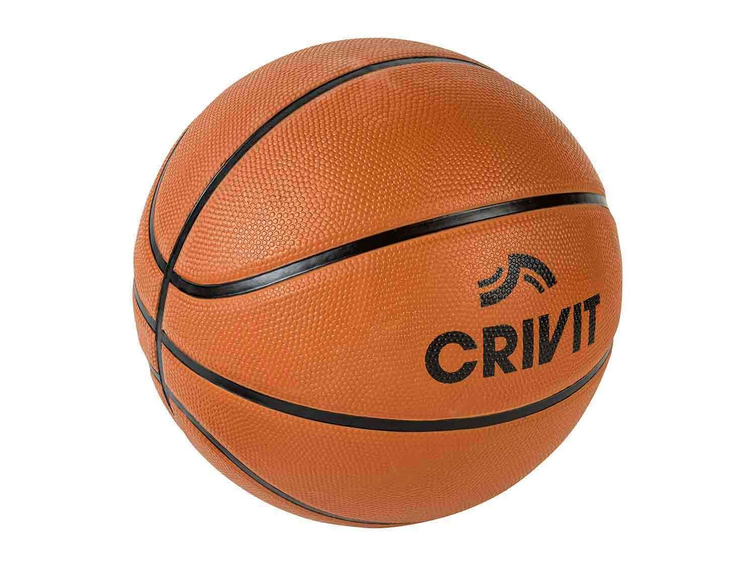 Pelota de baloncesto