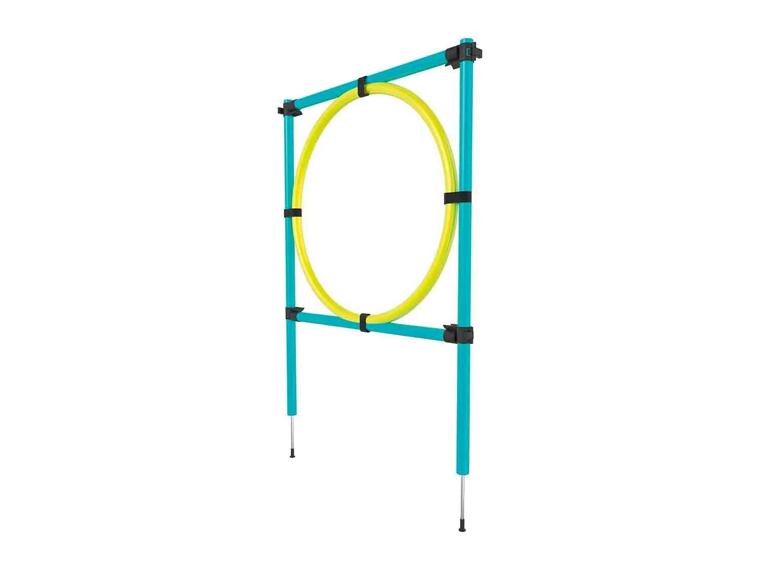 Aro de Agility