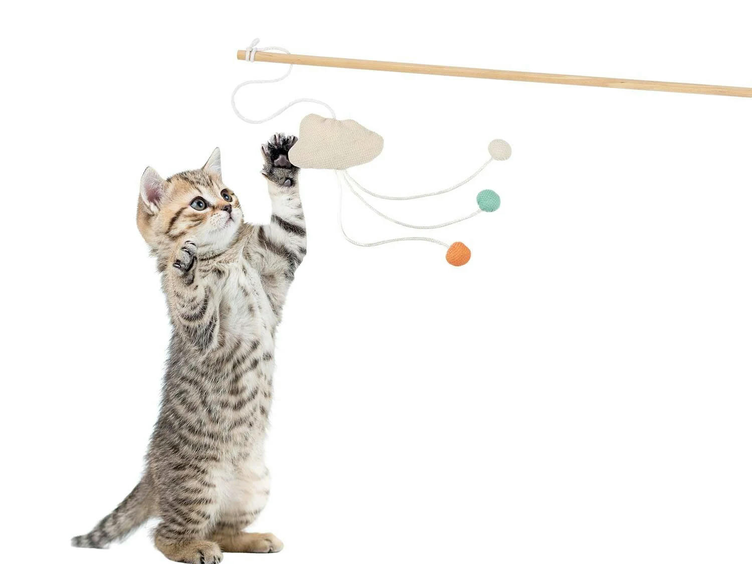 Set de juguetes para gatos