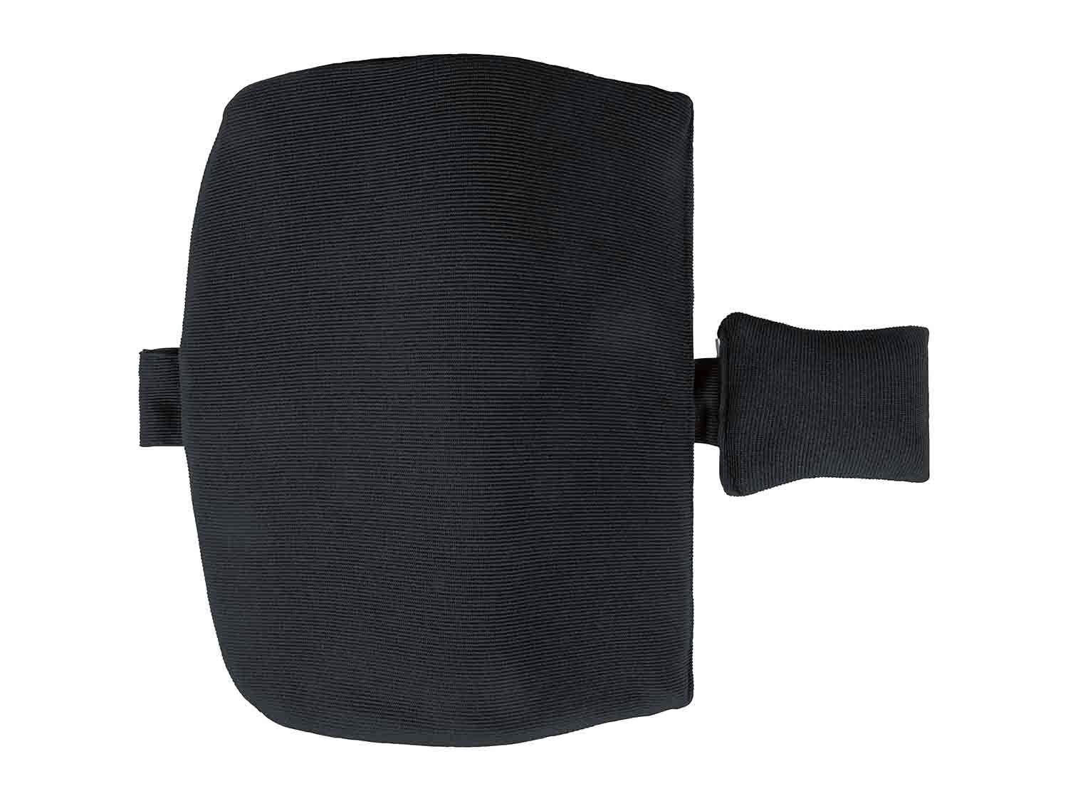 Cojín lumbar