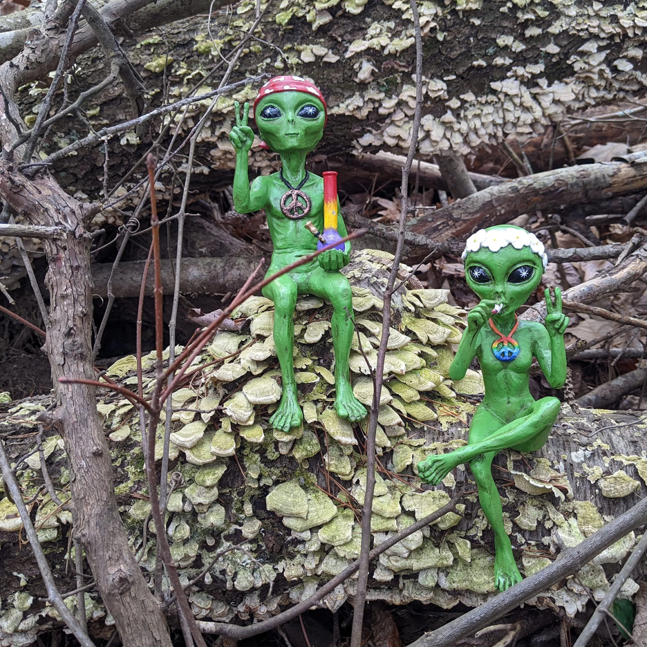 Hippie and Stoner Alien Invasion Couple Statues