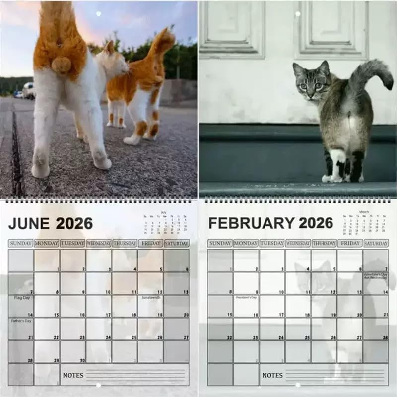 🔥LAST DAY 49% OFF - 🐈2026 Cat Butt Funny Calendar