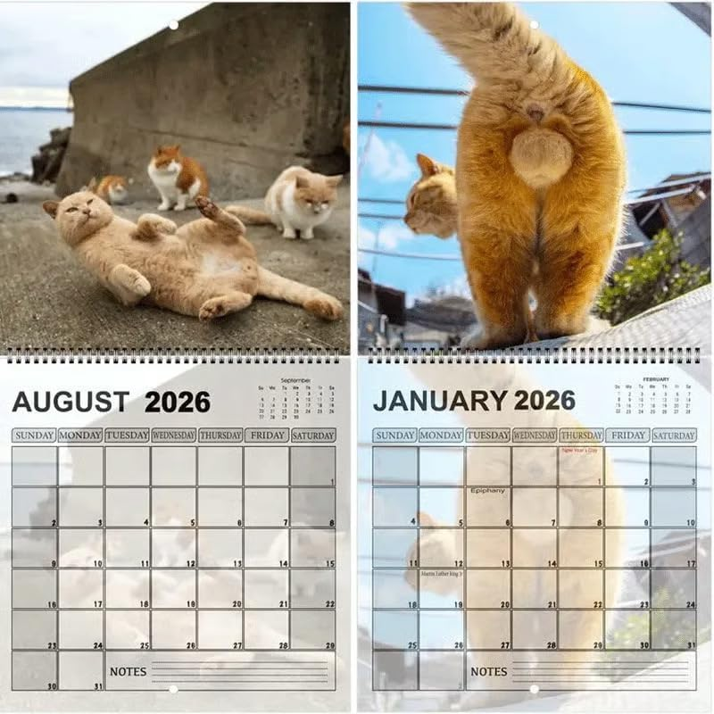 🔥LAST DAY 49% OFF - 🐈2026 Cat Butt Funny Calendar