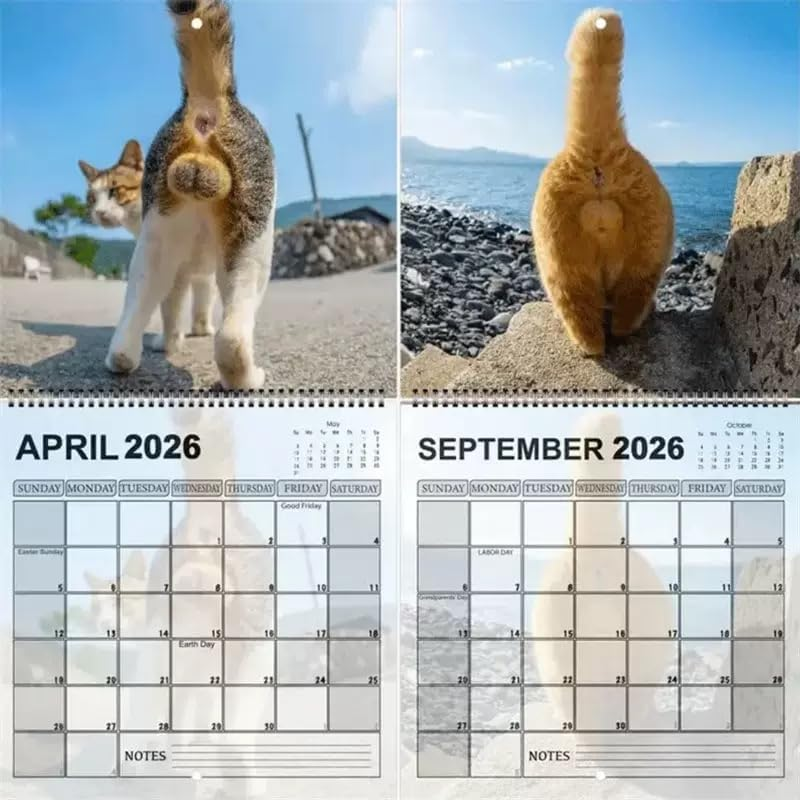 🔥LAST DAY 49% OFF - 🐈2026 Cat Butt Funny Calendar