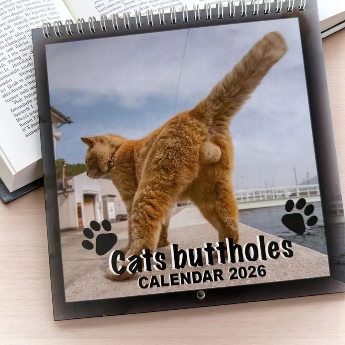 🔥LAST DAY 49% OFF - 🐈2026 Cat Butt Funny Calendar