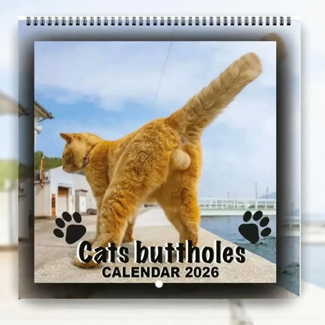 🔥LAST DAY 49% OFF - 🐈2026 Cat Butt Funny Calendar