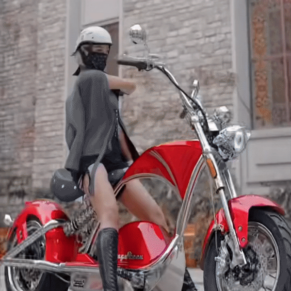 Electric motorcycle