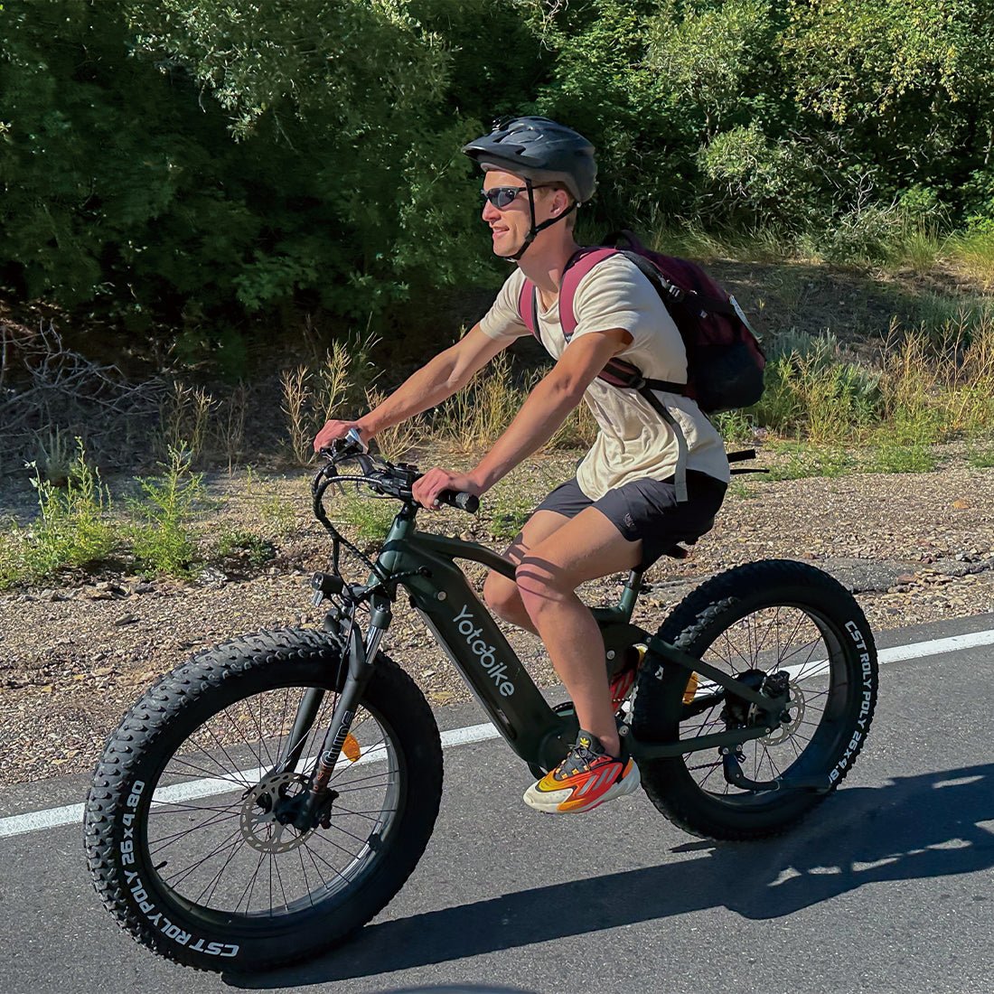 Leopard-Smoky Black Fat Tires Electric Mountain Bike