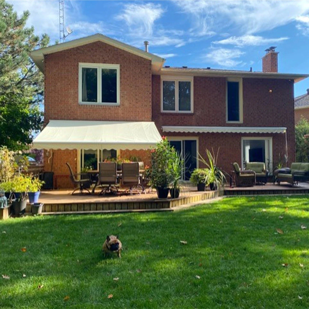 Aleko Motorized Retractable White Frame Patio Awning - 10 x 8 Feet - Ivory