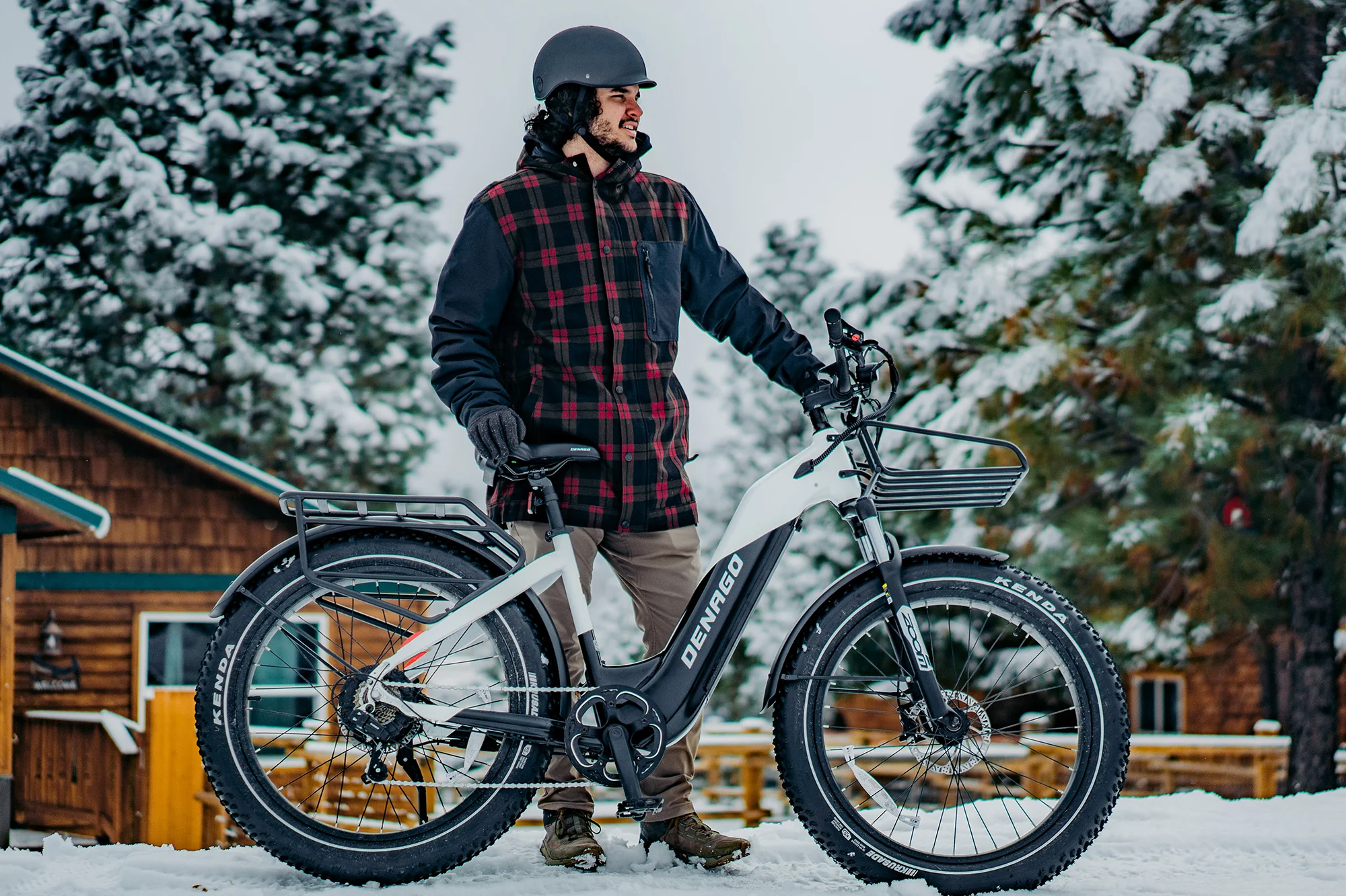 Denago Fat Tire Step-thru eBike