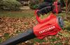 CRAFTSMAN V20 20-volt Max Cordless Battery String Trimmer and Leaf Blower Combo Kit (Battery and Charger Included)