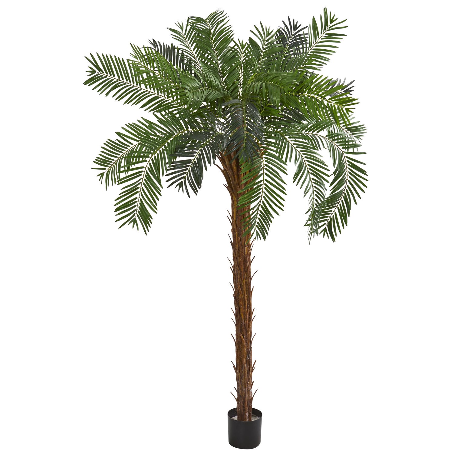 HomeStock 7Ft. Coastal Craftsman Palm Artificial Tree