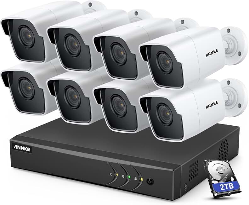 ANNKE 8 Channel 8 Camera Security System H.265+ DVR Recorder with 2TB HDD and 8X 5MP(2560TVL) Outdoor CCTV Bullet Cameras, IP67 Weatherproof,100ft Night Vision, Email Alert, Remote Access