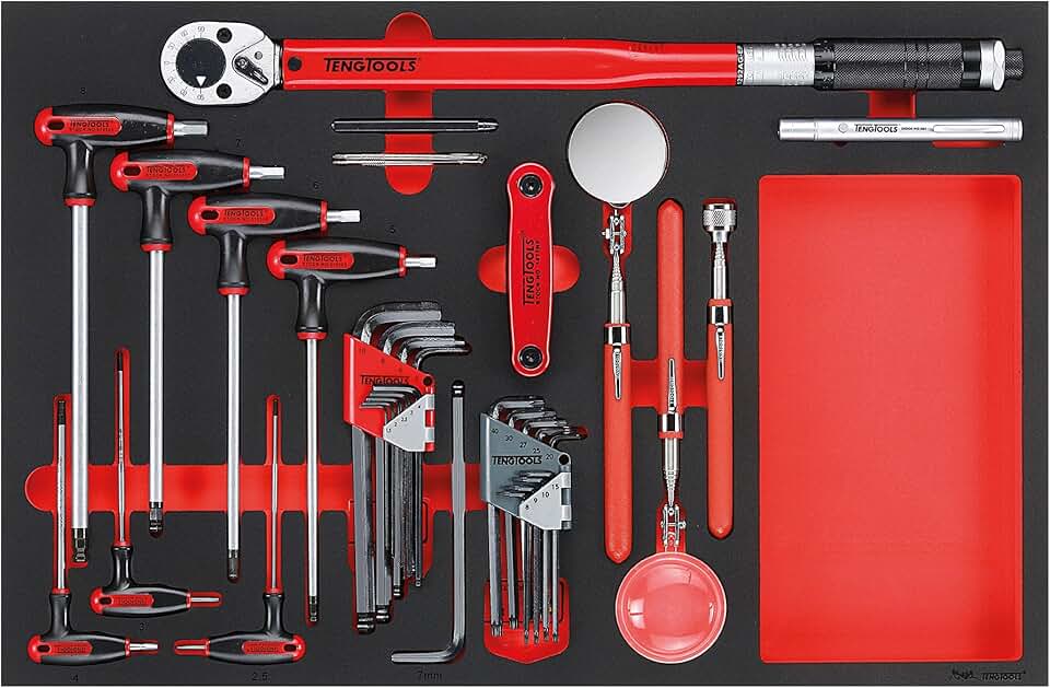 Teng Tools 17 Piece Hexagon Key, 1/2 Inch Drive Torque Wrench and Inspection Tool Set - TTEX17, Silver