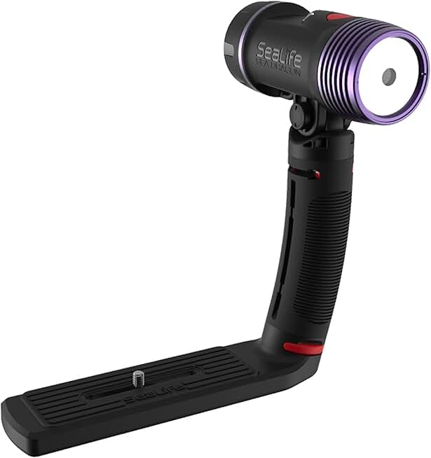 Sea Dragon Fluoro-Dual Beam