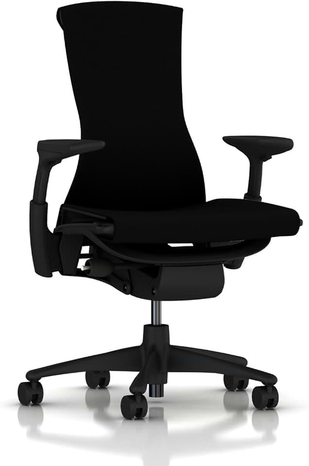 Herman Miller Embody Ergonomic Office Chair | Fully Adjustable Arms and Carpet Casters | Black Rhythm