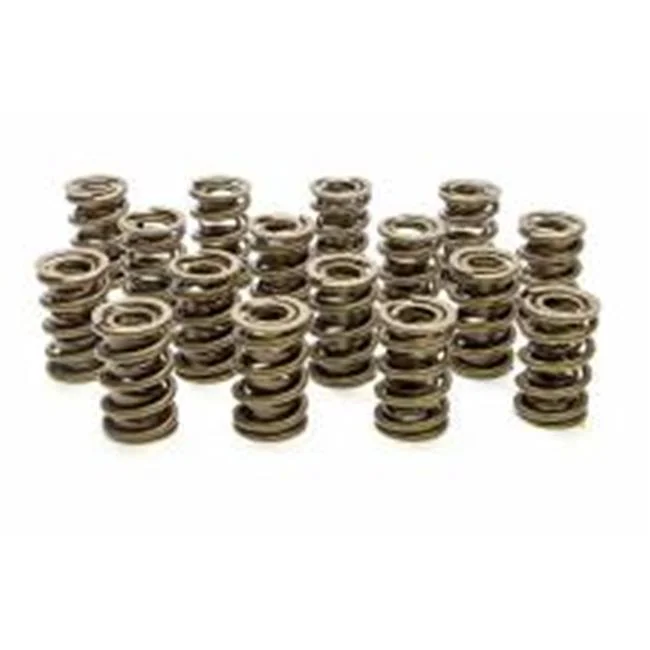 Pac Racing Springs  540 lbs Spring Rate 1.18 in. Coil Bind 1.55 in. OD 1200 Series Valve Dual Spring & Damper - Set of 16