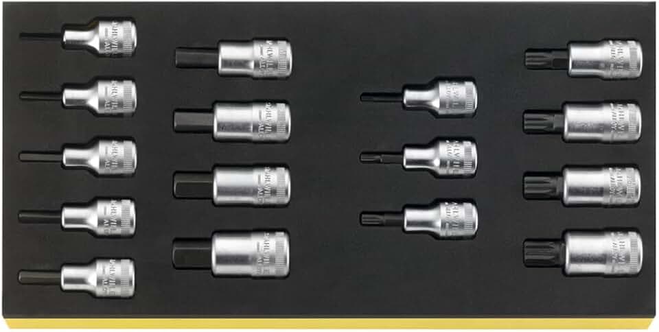 Stahlwille 96838762 16-Piece Socket Set with Hex and Trisquare Screwdrivers, TCS Inlays, 4mm-17mm Hex and M5-M16 Trisquare, Made in Germany