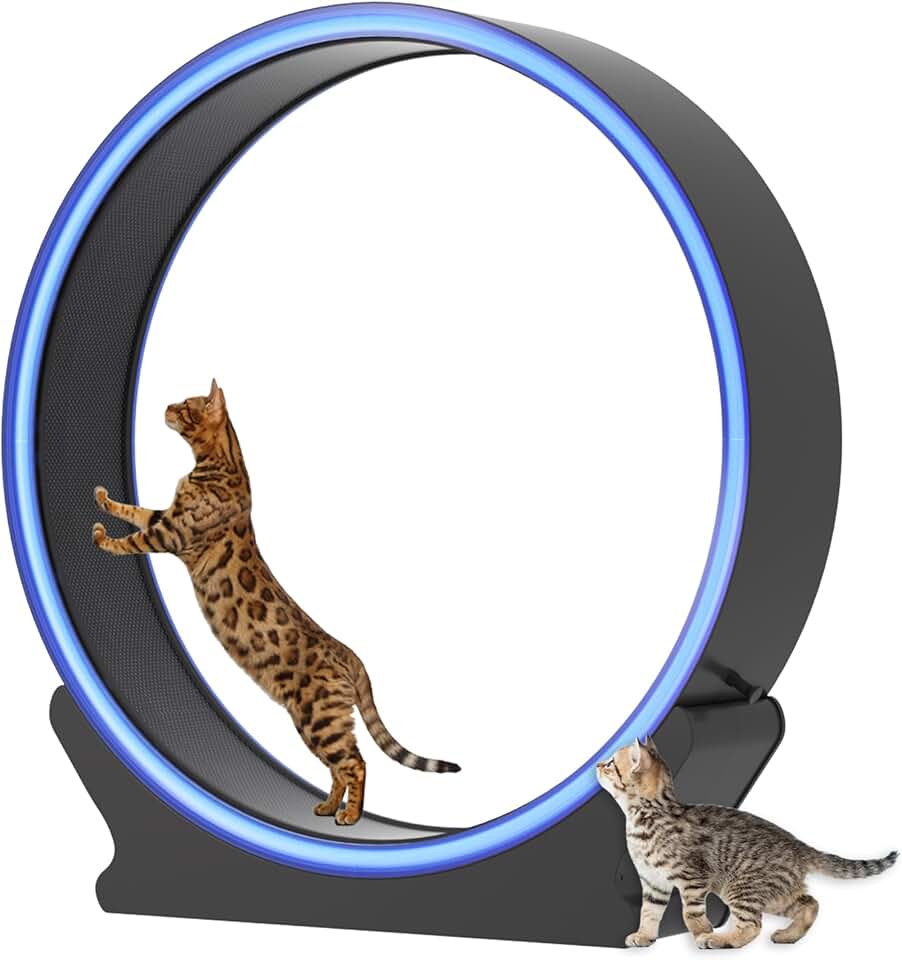 Large Cat Exercise Wheel with LED Lights - 40 inch Blue ABS Plastic Cat Wheel Exerciser for Indoor Cats, Safety Cat Treadmill with Non Slip Carpet & Lock Pin