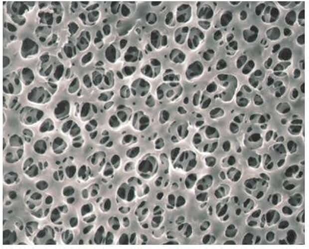 C300A293C Membrane Filter, Non-Sterile, Plain, 293 mm Diameter (Pack of 25)