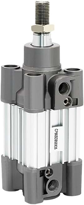 CP96SDB Standard Air Cylinder Pneumatic Cylinder Bore 63mm/80mm/100mm Stroke 25-350mm 1Pcs(Stroke 225mm,Bore 100mm)