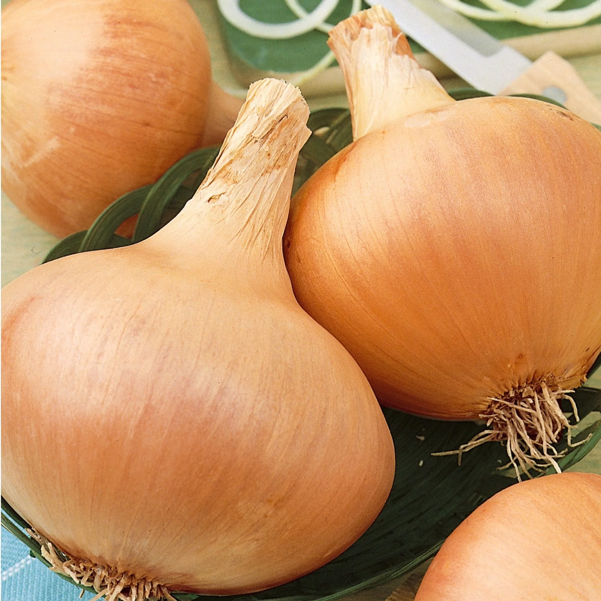 Organic Texas Grano 502 Onion Seeds - 5 Lb Bulk ~560,000 Seeds - Heirloom, Non-GMO Farm & Vegetable Garden Seeds