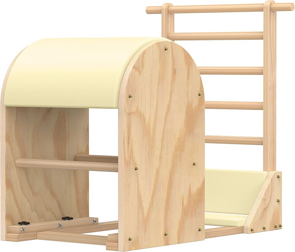 Pilates Barrel, Pilates Spine Corrector is Designed for People who Work in Offices, Pilates Arc Corrects Posture, Relaxes, Stretches, and Stretches to Make The Spine Soft and Supple- Sturdy Solid-2eUb