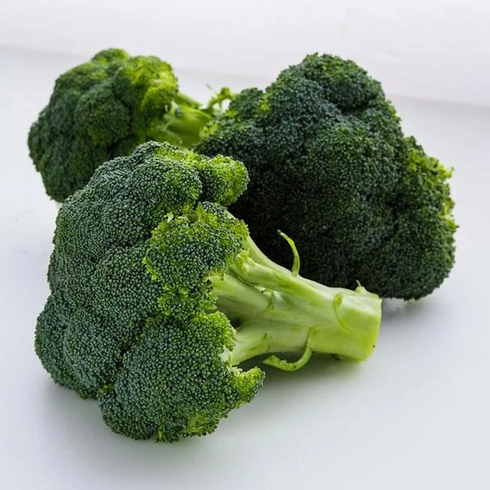 Organic Waltham 29 Broccoli Seeds - 25 LB Bulk ~3,600,000 Seeds - Non-GMO, Open Pollinated, Heirloom, Vegetable Gardening & Micro Greens Seeds