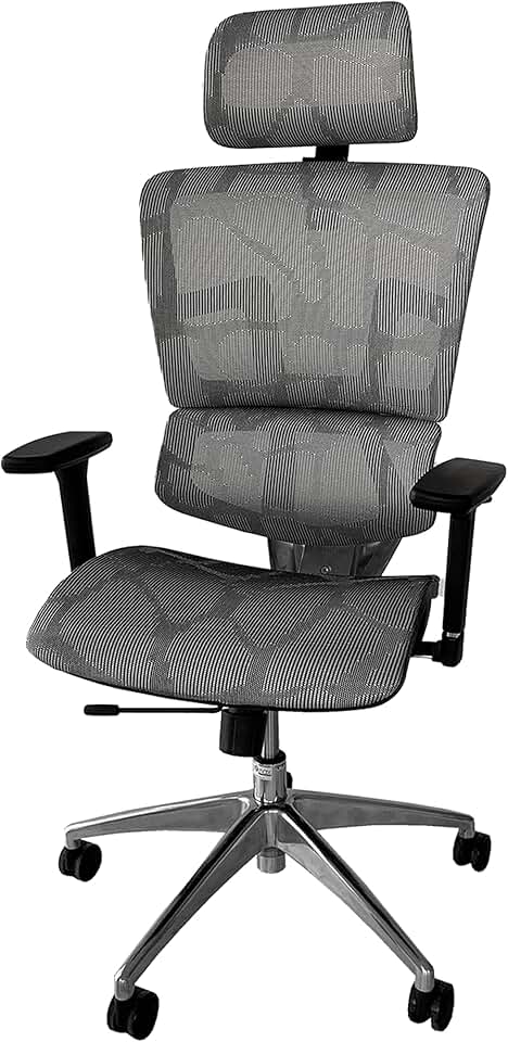 Ergomax Ergonomic Office Chair, Office Chair Lumbar Support, High Back Office Chair, Executive Mesh Office Chair with Adjustable Armrest Headrest, Home Office Chair, 53 Inch Max Height, Gray