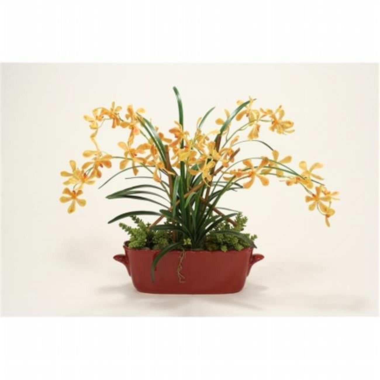 International  Orange Yellow Vanda Orchids with Orchid Folaige in Red Oval Planter