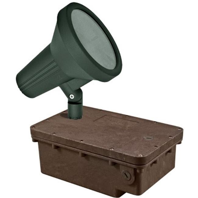 In-Ground Box with Black Bullet & PAR38 Lamp - 100W Mount