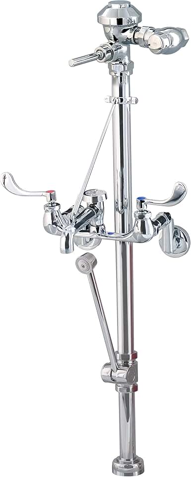 Zurn Z60842AV-BWN - AquaVantage 6.5 GPF Clinic Sink Flush Valve with Bedpan Washer and Service Sink Faucet