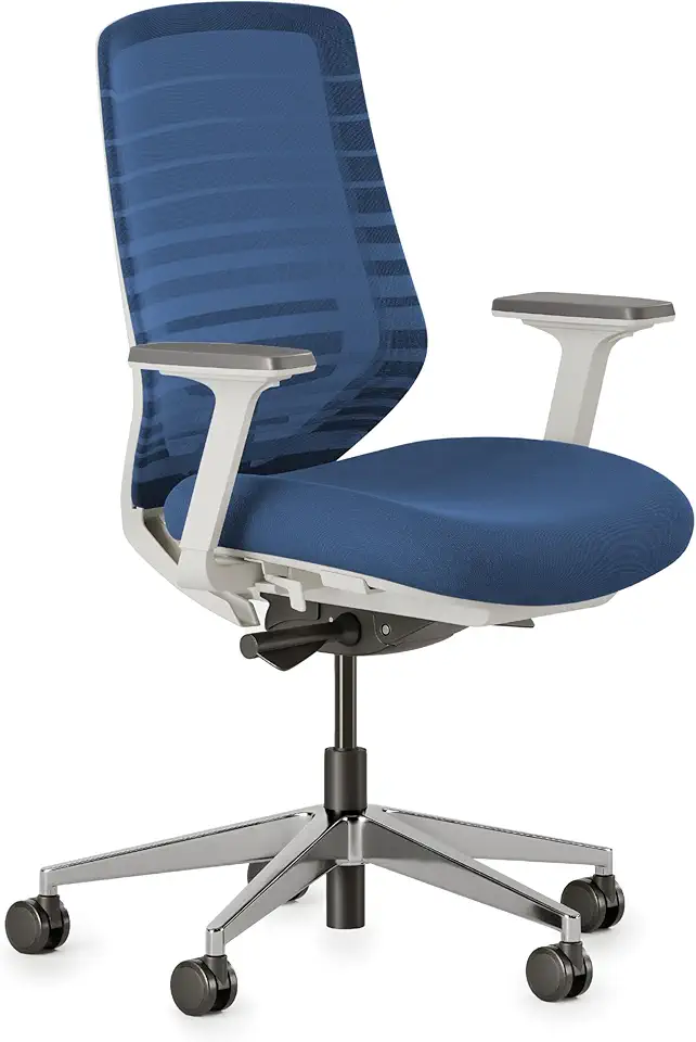 Branch Ergonomic Chair - A Versatile Desk Chair with Adjustable Lumbar Support, Breathable Mesh Backrest, and Smooth Wheels - Experience Optimal Comfort and Support - Baltic
