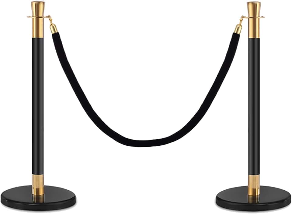 Auto Show VIP Fence Stanchion Post with Red/Black Velvet Rope, Stainless Steel Crowd Control Barriers for Museums Theater Exhibition Party Wedding (Color : Black Rope)