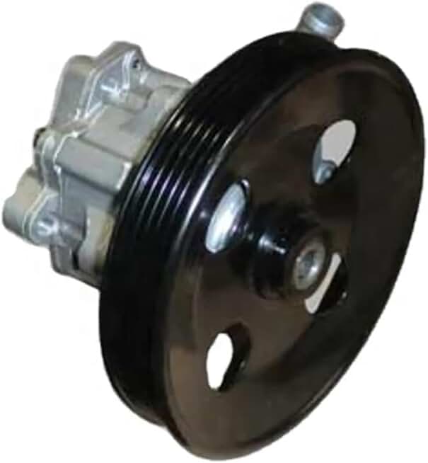 Power Steering Pump Assembly Compatible with Chery TIGGO T11 OEM:T11-3407010