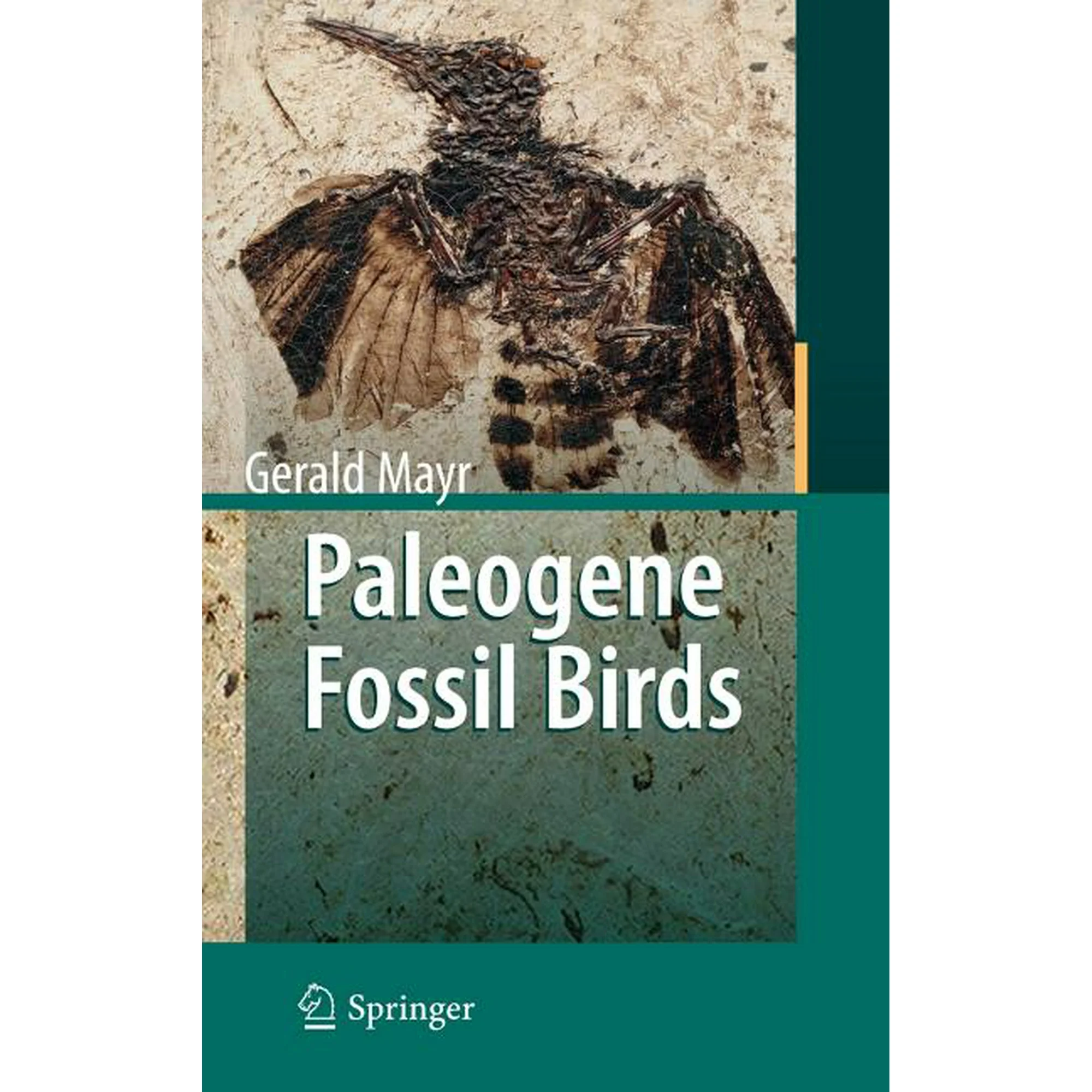 Paleogene Fossil Birds (Hardcover)