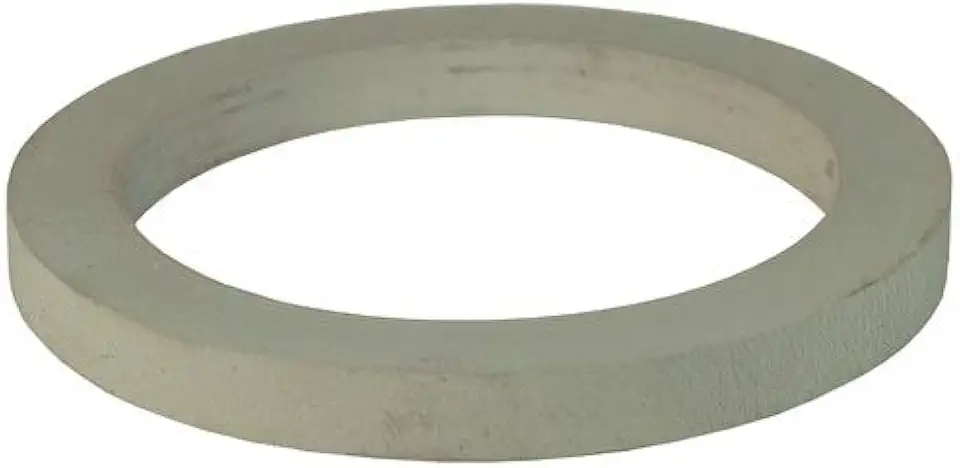 Lamons 300.CAMGAS.WHTNBRx250 3