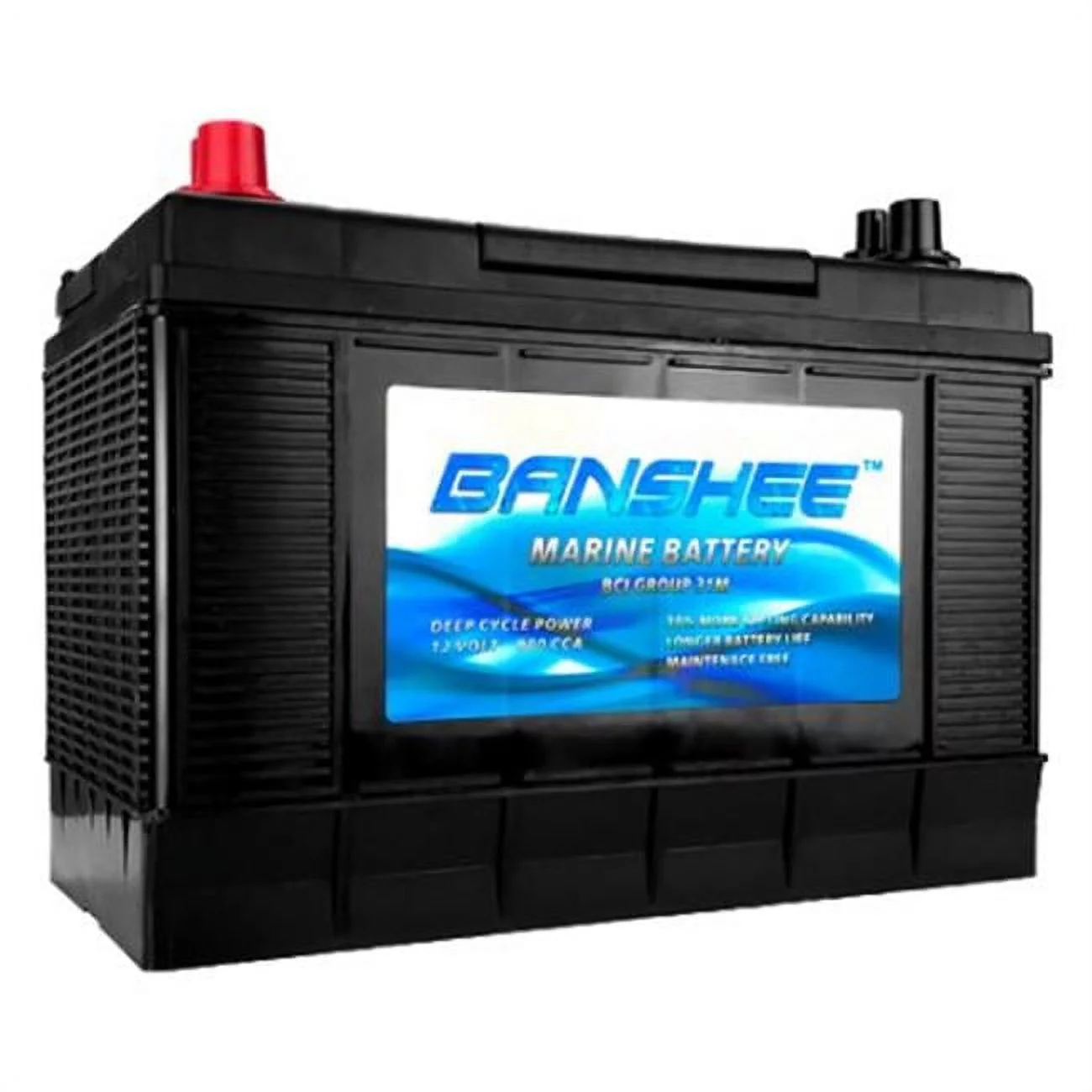 Banshee  Deep Cycle Marine Battery - Group 31 - 900 CCA - Top Post