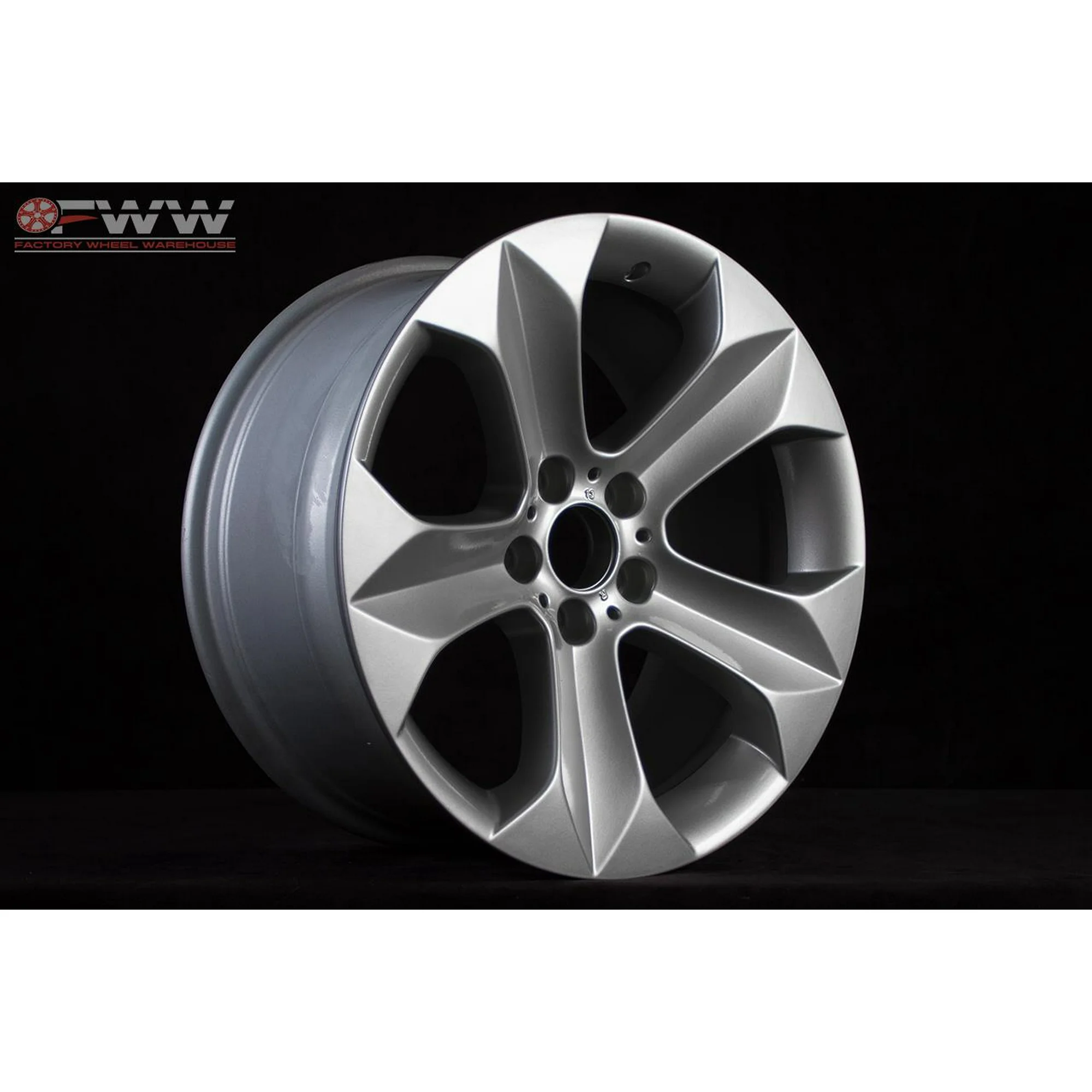 BMW X6 Wheel 2007-2014 19