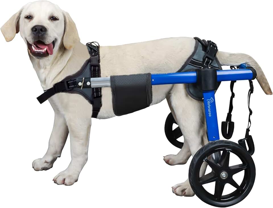 Dog Wheelchair for Back Legs with Upgraded All-Terrain Tires & Durable Bearings,Adjustable Dog Wheelchair for 11.8