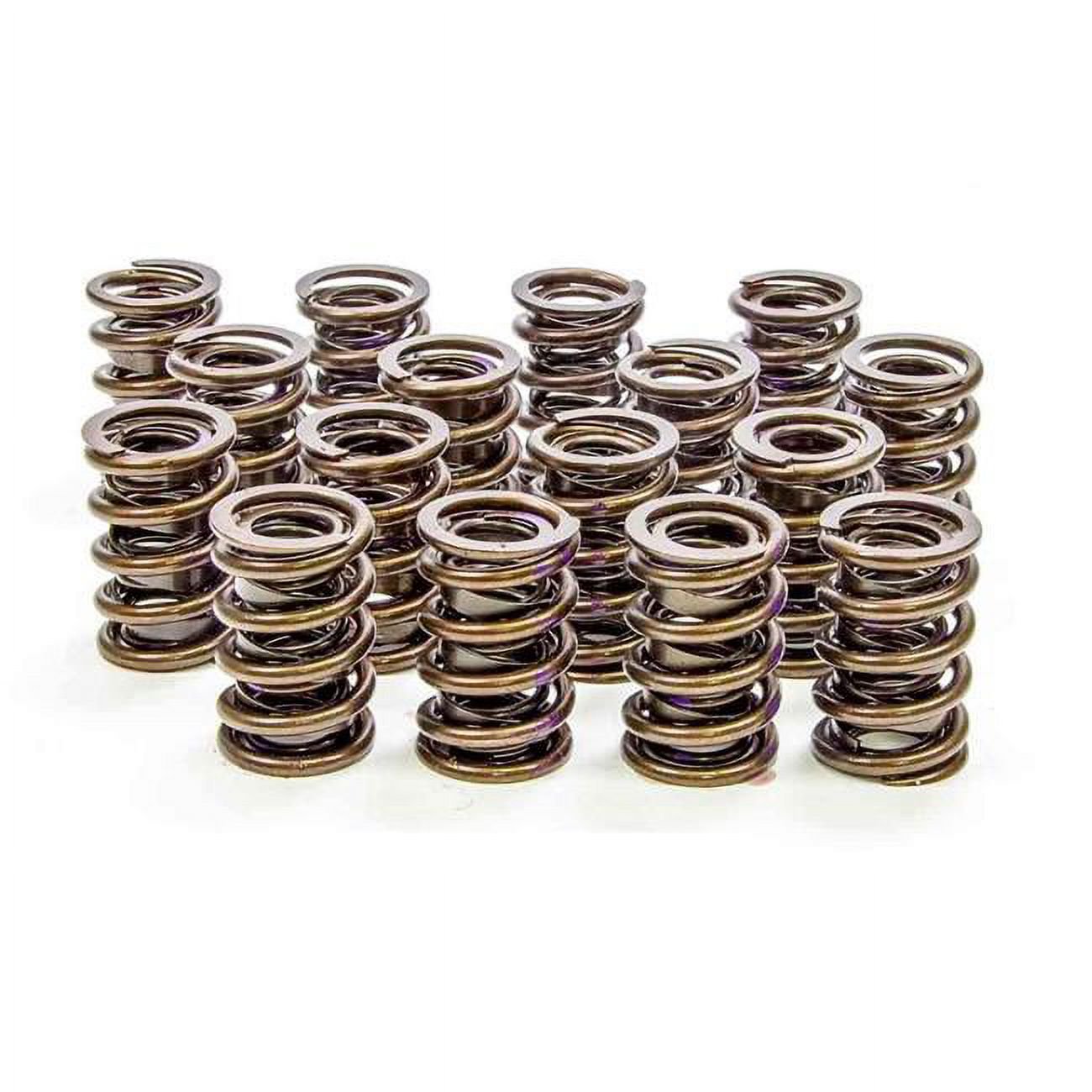 Isky Cams 8005A 1.530 in. Valve Springs