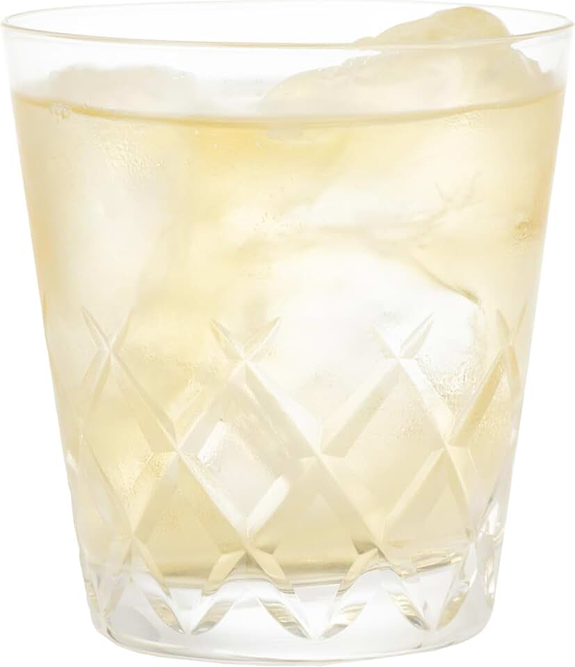 東洋佐々木ガラス Toyo Sasaki Glass T-20113HS-E107 Old Fashioned Glass Resin 10, Made in Japan, Set of 60 (Sold by Case), Dishwasher Safe, 10.1 fl oz (315 ml)