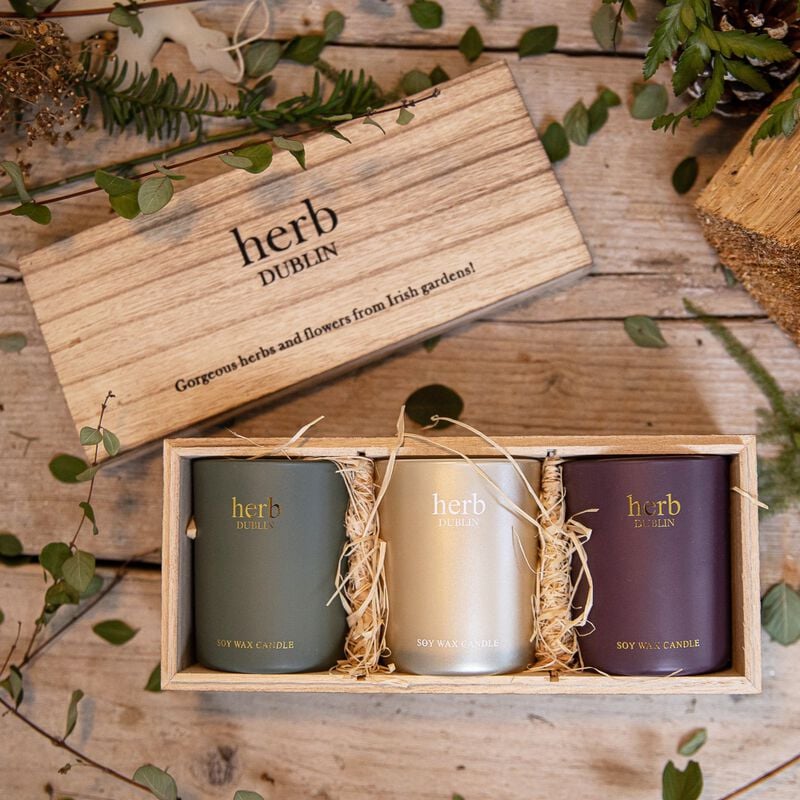 Herb Dublin Christmas Candle Trio