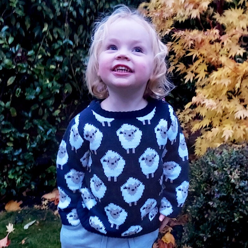 All Over Sheep Pattern Kids Jumper Navy