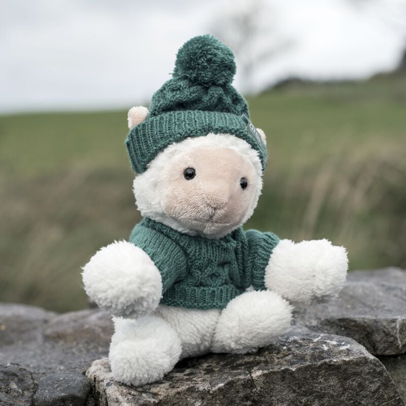 Aran Woollen Mills Small Sheep With Green Aran Jumper And Hat