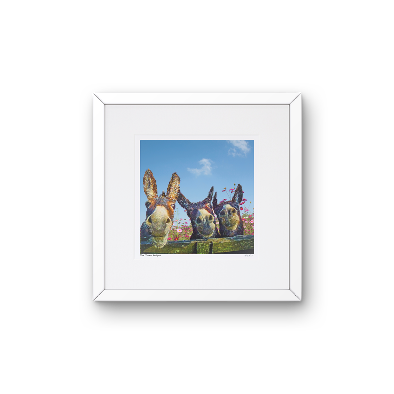 Kelly Hood The Three Amigos Mounted Print