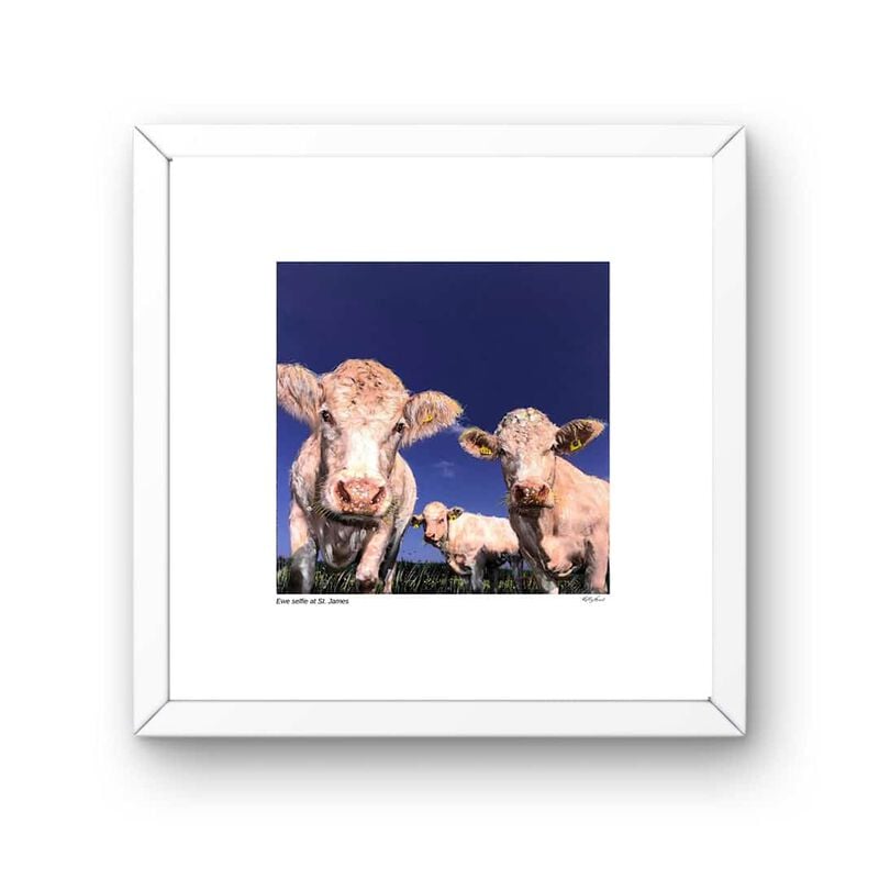 Kelly Hood Full Fat, Low Fat & Semi Skimmed Mounted Print